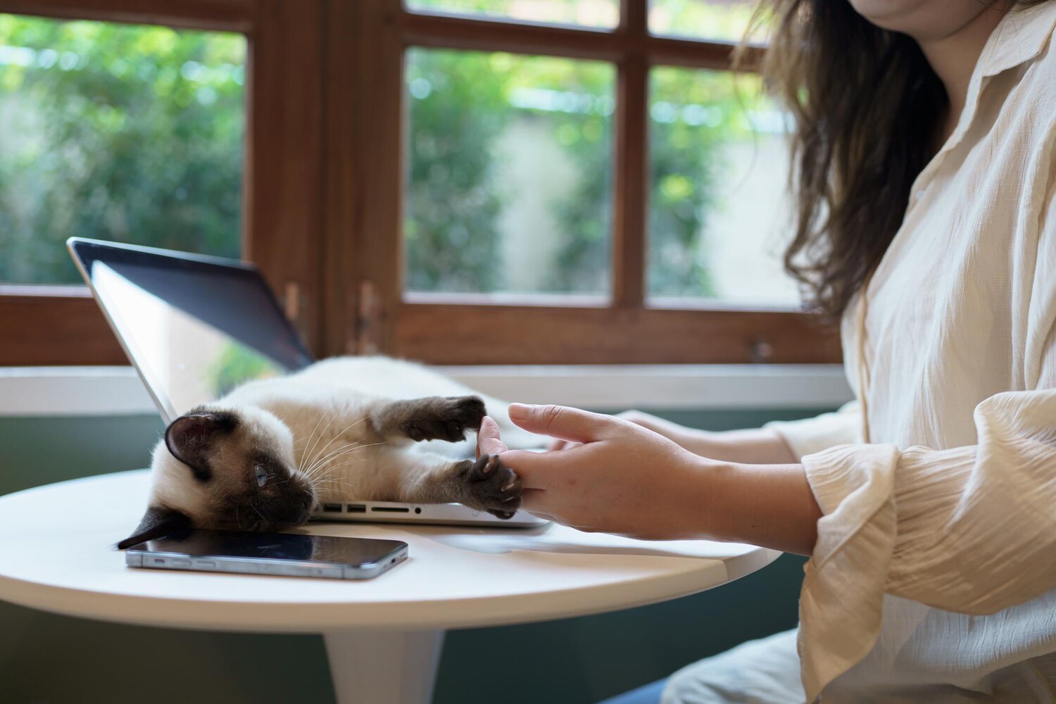 Guide ultime pour sélectionner l'assurance santé idéale pour votre chien ou chat
